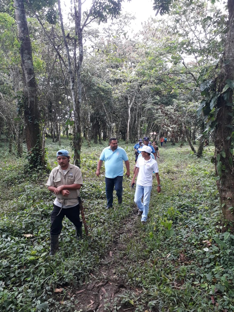 parque